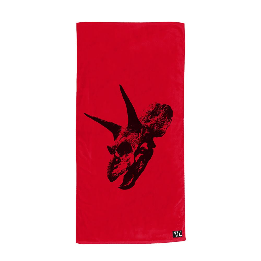 Official Dinosaur Colour Beach Towel – T-Rex Design, 140cm X 70cm, 100% Cotton Velour