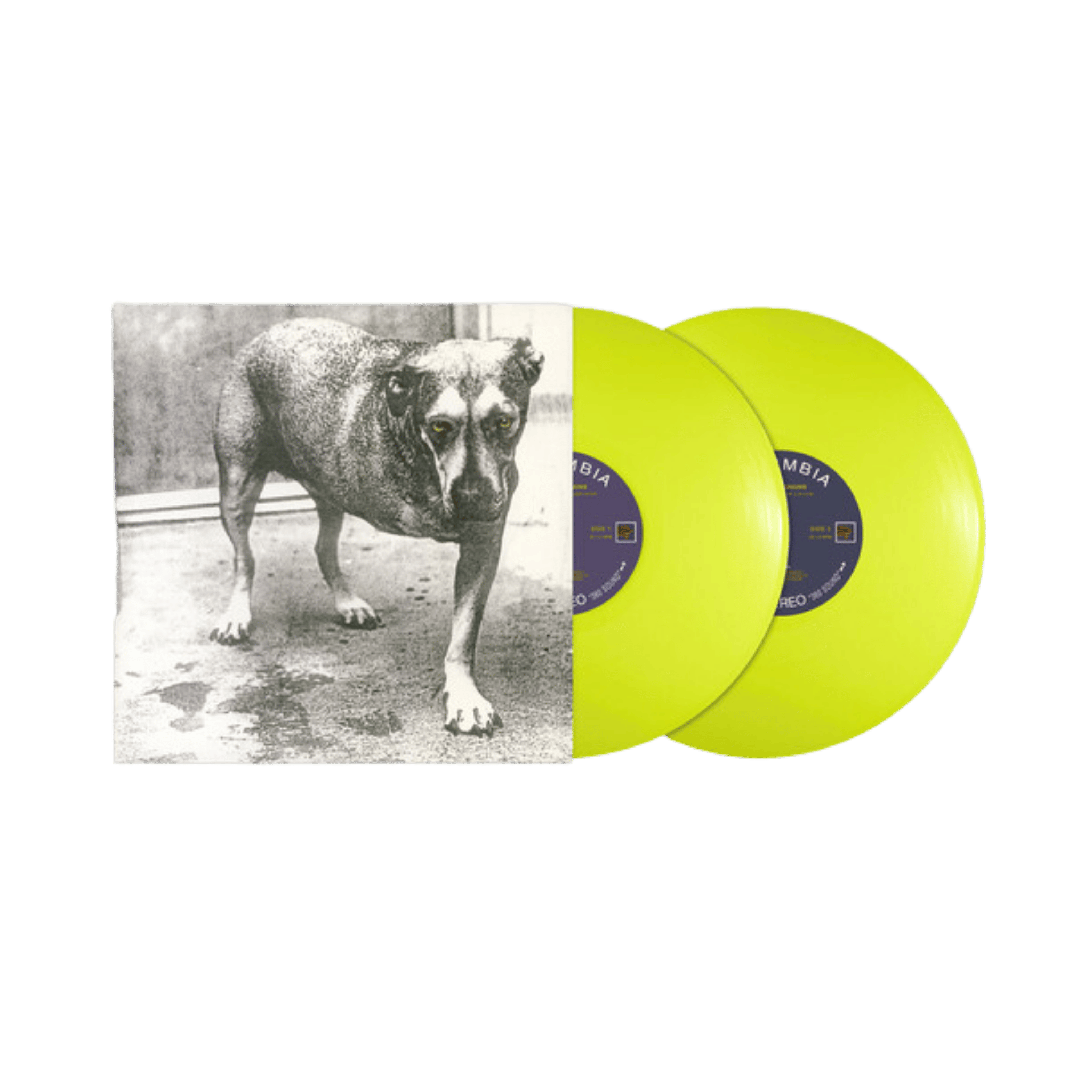 Alice in chains 2lp yellow colored vinyl featuring vibrant lime green records and a dog photo album cover