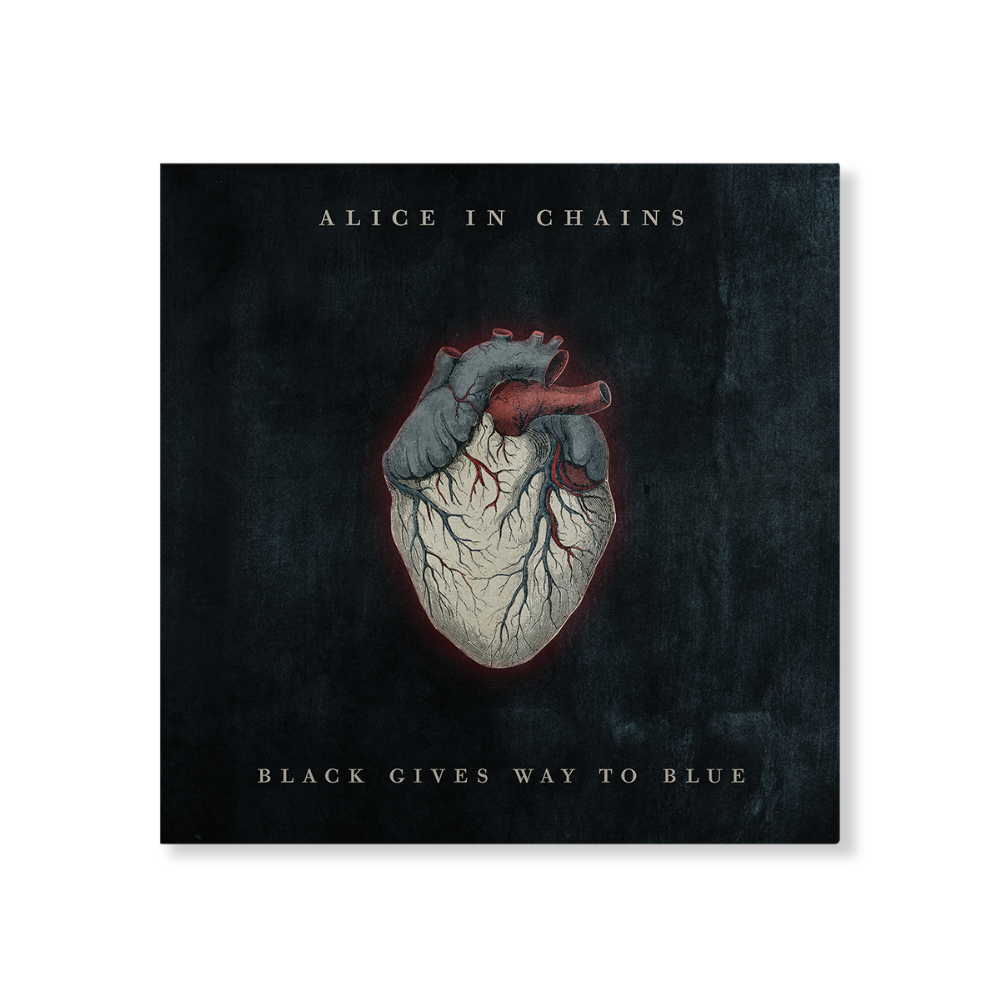 Anatomically detailed, illustrated heart with grayish-white outer tissue and red internal vessels against a dark textured background.