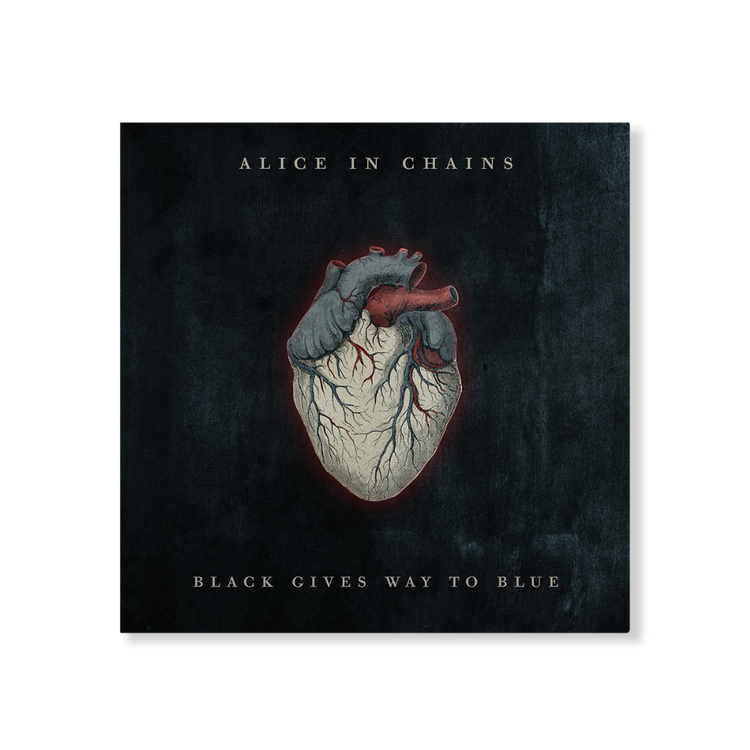 Anatomically detailed, illustrated heart with grayish-white outer tissue and red internal vessels against a dark textured background.