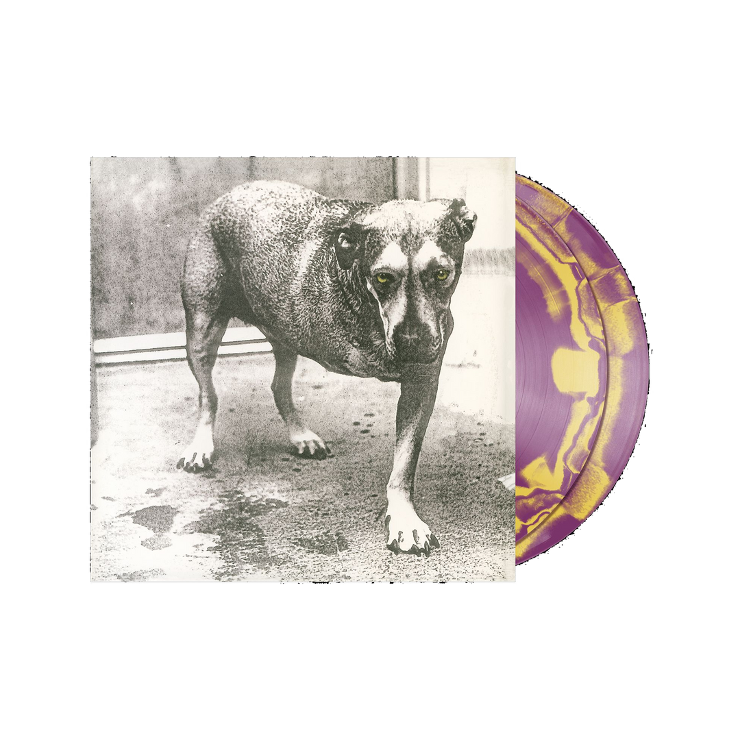 Self-titled d2c exclusive vinyl featuring a purple and yellow marbled record with a black and white dog photo album cover